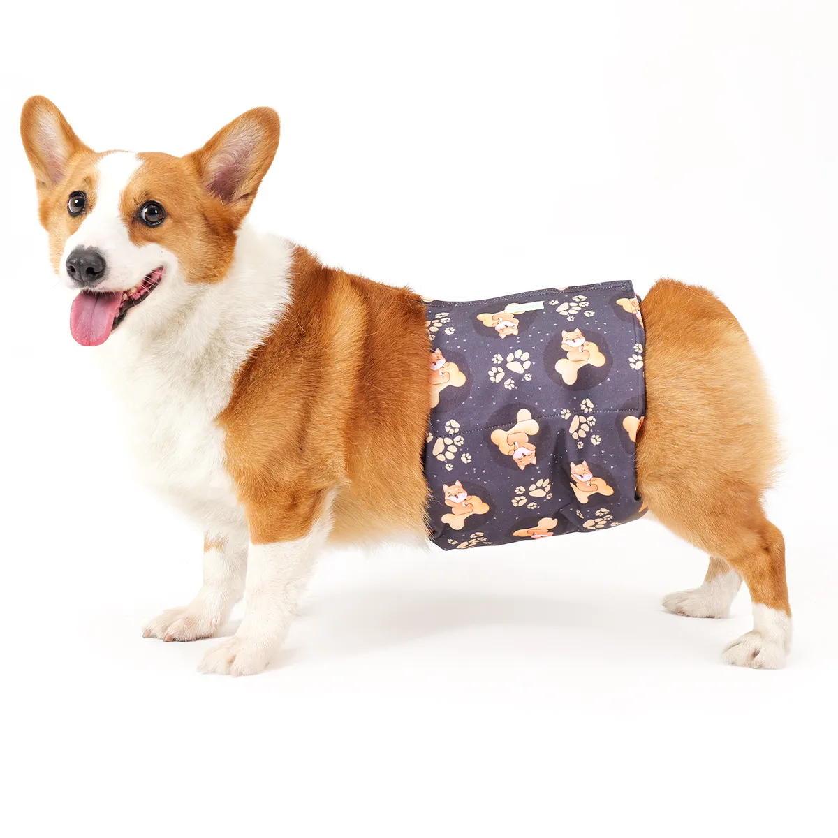 Pañal reutilizable para Perro - Macho - PreVenta (Ingresan aprox 3-4 semanas luego de realizadala compra) - Imagen 1