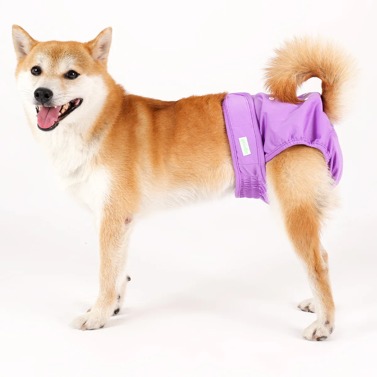 Pañal reutilizable para Perro - Hembra - PreVenta (Ingresan aprox 3-4 semanas luego de realizadala compra) - Imagen 1